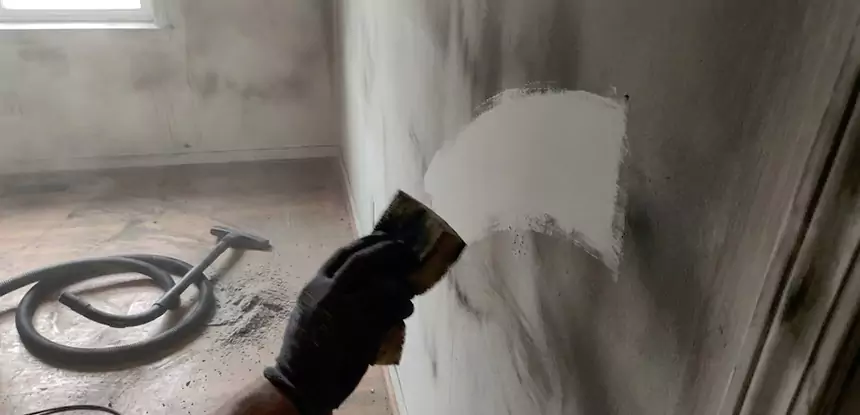 Professional Water and Fire Damage Restoration Services in Dahlonega, GA