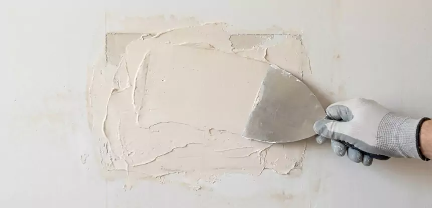 Professional Mold and Drywall Repair Services in Dahlonega, GA