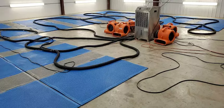 Professional Flooded Carpet Drying Services in Dahlonega, GA